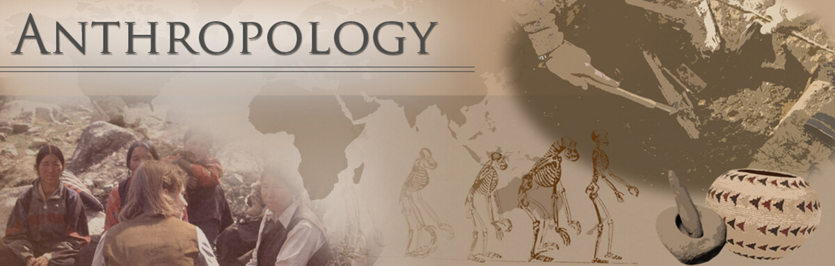 Illustration for anthropology homework done by Pro-Paper